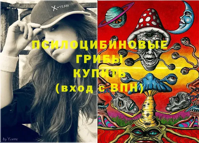 Галлюциногенные грибы ЛСД  hydra   Тайга  купить  